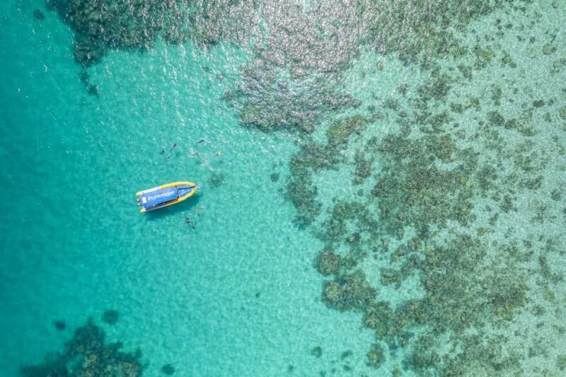 Cape Tribulation Ocean Safari - Great Barrier Reef Adventure - Guides and Eco-Responsibility