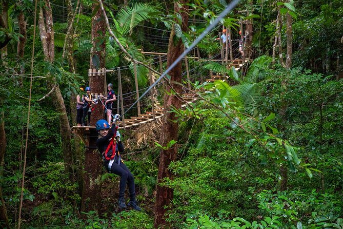 Cape Tribulation & Ziplining: Ultimate Daintree - Exploring the Daintree: The Ultimate Ziplining and Wildlife Tour