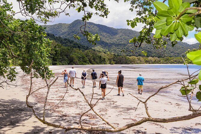 Cape Tribulation & Ziplining: Ultimate Daintree - Key Points