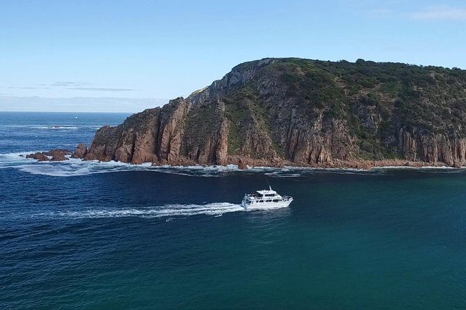 Cape Woolamai Sightseeing Cruise from San Remo - A Detailed Look at the Cape Woolamai Sightseeing Cruise