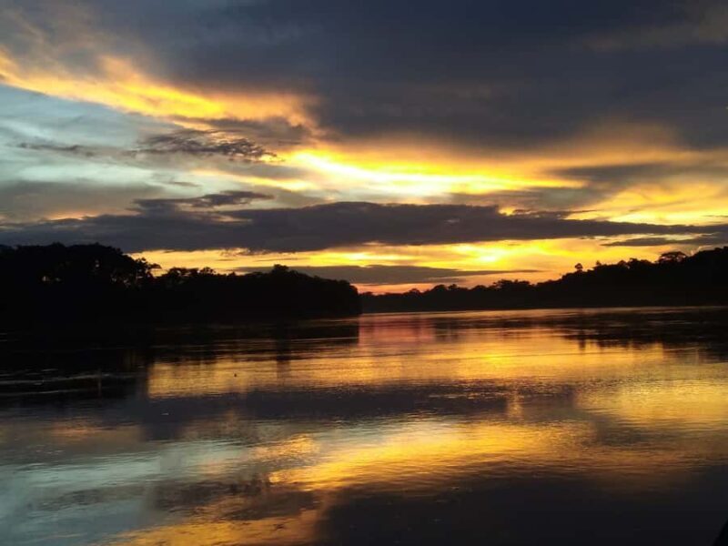 Capibara and caiman search on the Tambopata river - Discovering the Tambopata River: Caimans, Capybaras, and Sunset Views