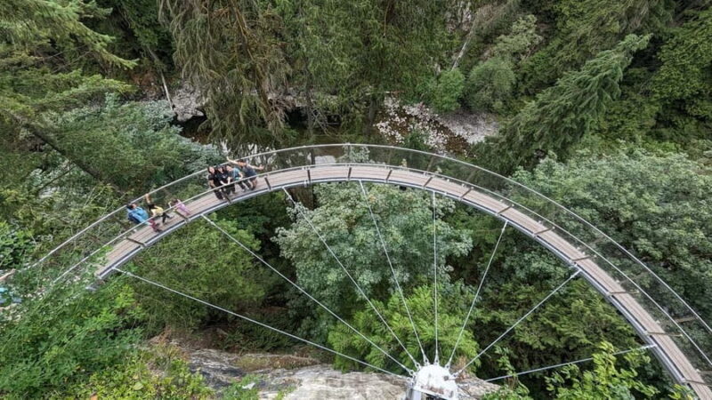 Capilano Br+Granville Isl+Capilano Hatchery+Lynn Canyon Tour - A Complete Look at the Vancouver Experience