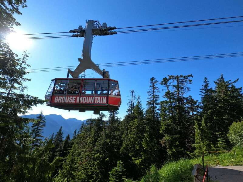 Capilano Br+Granville Isl+Capilano Hatchery+Lynn Canyon Tour - Cost and Value