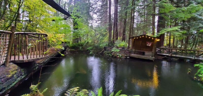 Capilano Br+Granville Isl+Capilano Hatchery+Lynn Canyon Tour - FAQ