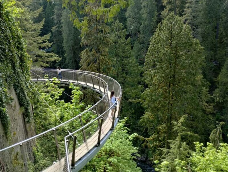 Capilano Br+Grouse Mtn+Dam+Lake&Hatcher/5in1/Small Group/Car - Key Points