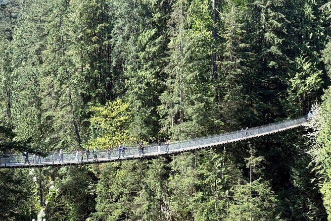 Capilano Br+Grouse Mtn+Dam+Lake+Hatchery/5in1CarTour+Small Group - Key Points