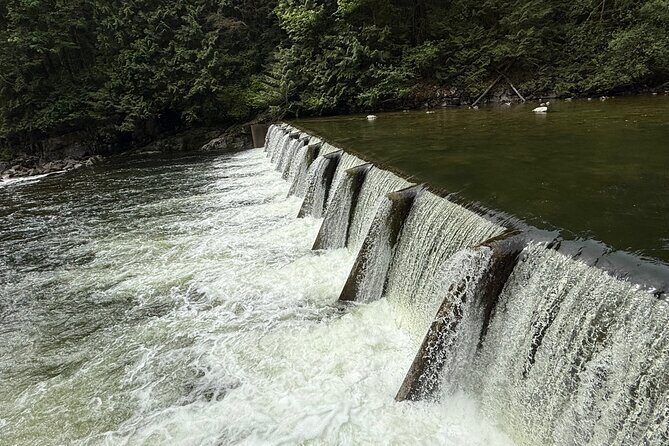 Capilano Br+Grouse Mtn+Dam+Lake+Hatchery/5in1CarTour+Small Group - Who Will Love This Tour?