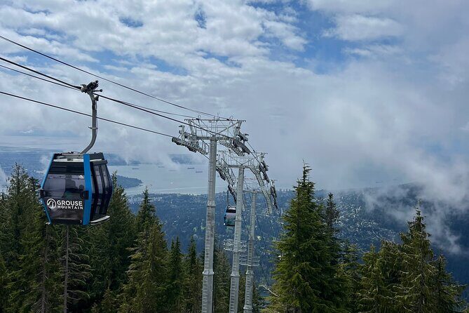 Capilano Br+Grouse Mtn+Dam+Lake+Hatchery/5in1CarTour+Small Group - Final thoughts