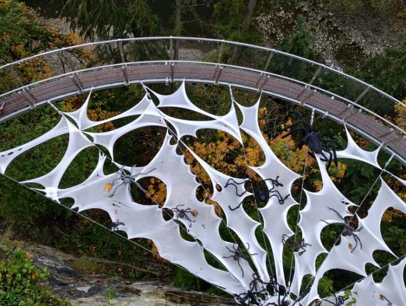 CAPILANO BR+GROUSE Mtn+STANLEY P+DAM+LAKE+HATCHERY/CAR/9in1 - Discover Vancouver’s Iconic Sights with a Luxury Private Tour