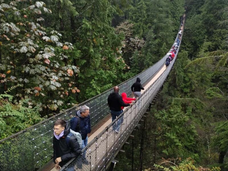 CAPILANO BR+GROUSE Mtn+STANLEY P+DAM+LAKE+HATCHERY/CAR/9in1 - Why This Tour Is Worth Considering