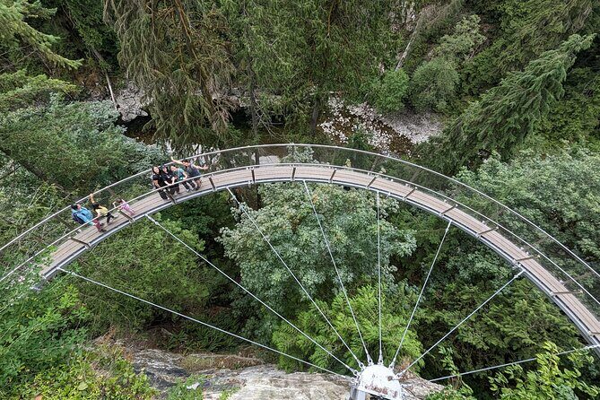 Capilano Bridge+Granville Isl+ Capilano Hatchery+Lynn Canyon Tour - Who Will Love This Tour?