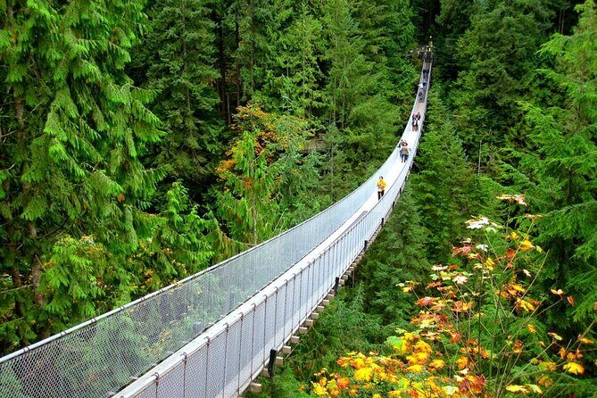 Capilano Suspension Bridge and Grouse Mountain Signature Tour - In-Depth Review of the Tour Experience