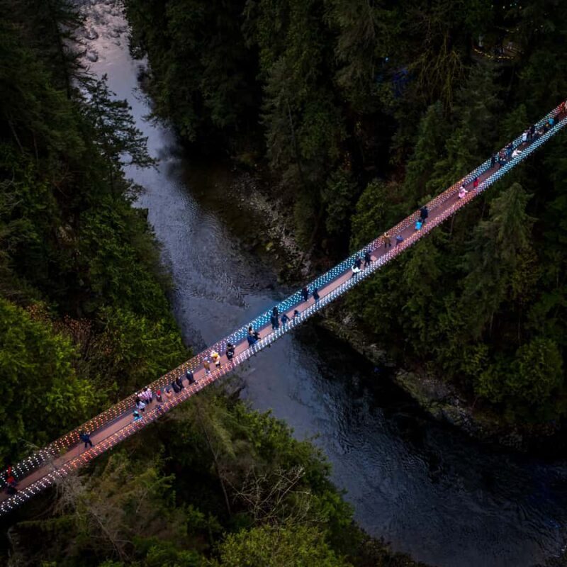 Capilano Suspension Bridge Canyon Lights & 4 Top highlights - A Deep Dive into the Vancouver Natural Adventure