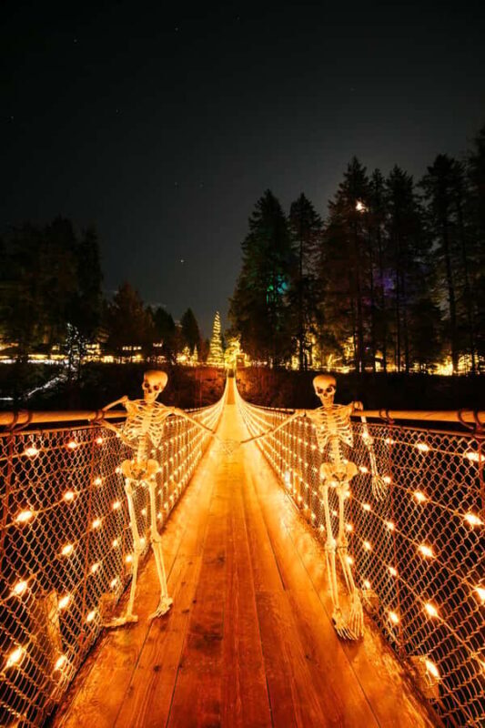 Capilano Suspension Bridge Canyon Lights & 4 Top highlights - Who Will Love This Tour?