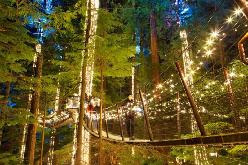 Capilano Suspension Bridge Canyon Lights & 4 Top highlights - FAQ