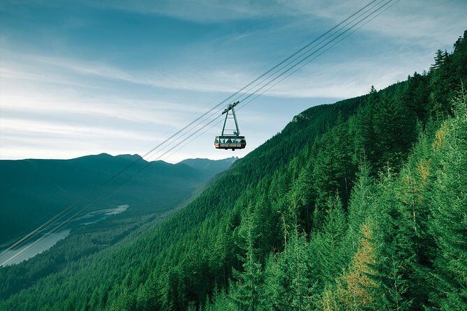 Capilano Suspension Bridge + Grouse Mountain Tour - Who Should Take This Tour?