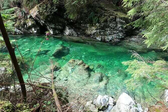 Capilano Suspension Bridge, Lynn Canyon & Capilano Hatchery Tour - In-Depth Look at the Tour Experience
