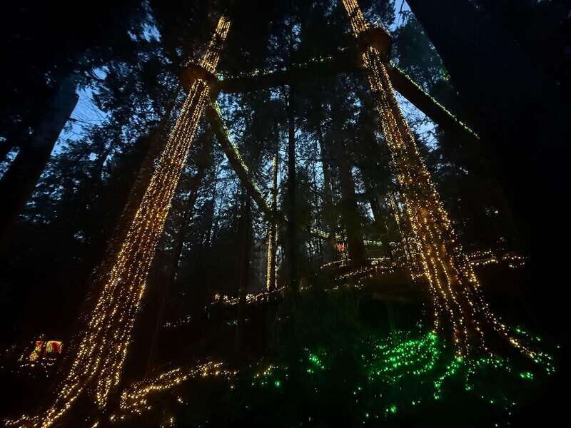Capilano Suspension Bridge/Private/Small Group/By LUX CAR - The Sum Up