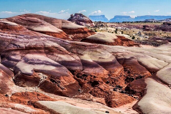 Capitol Reef Private Tour in Cathedral Valley and Bentonite Hills - FAQ