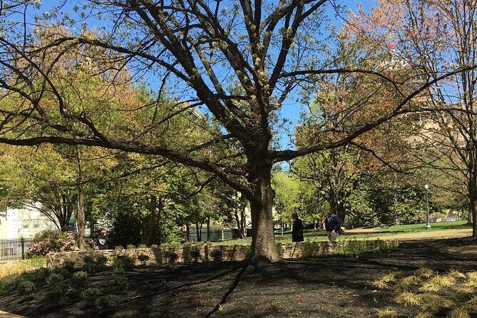 Capitol Steps and Stories Walking Tour - Why We Think This Tour Offers Good Value