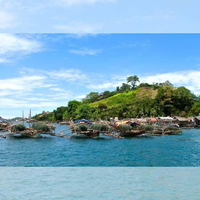 Capiz: Seafood Fiesta Culinary Tour - Who Will Love This Tour?