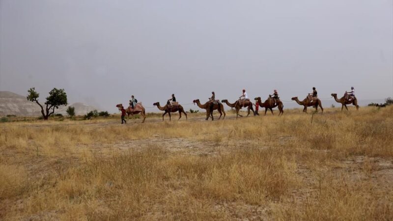 Cappadocia Camel Ride among the Fairy Chimneys - FAQ