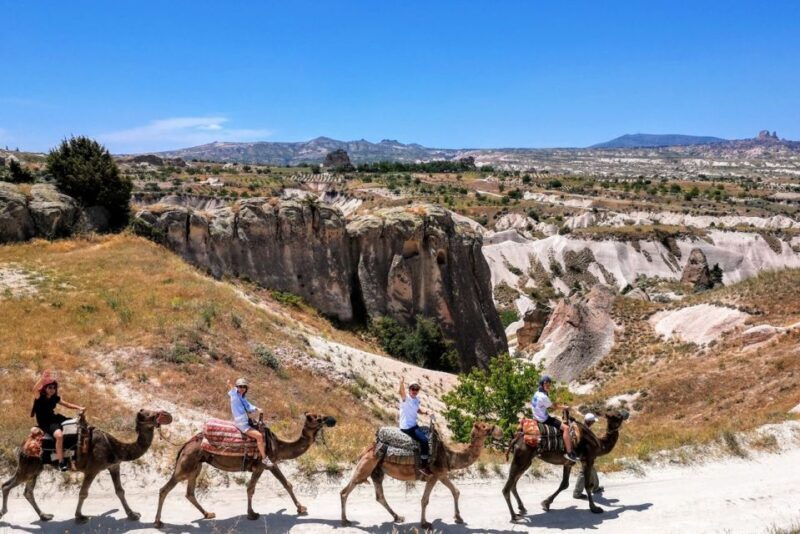 Cappadocia: Camel Safari - Introduction: A Unique Way to Experience Cappadocia