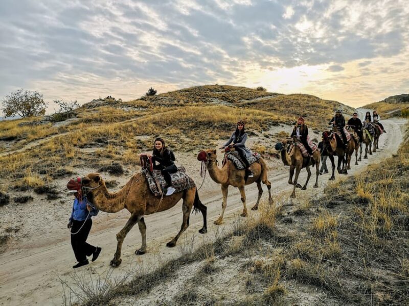 Cappadocia Camel Safari Tour - Detailed Review: Why the Camel Safari in Cappadocia is Worth It