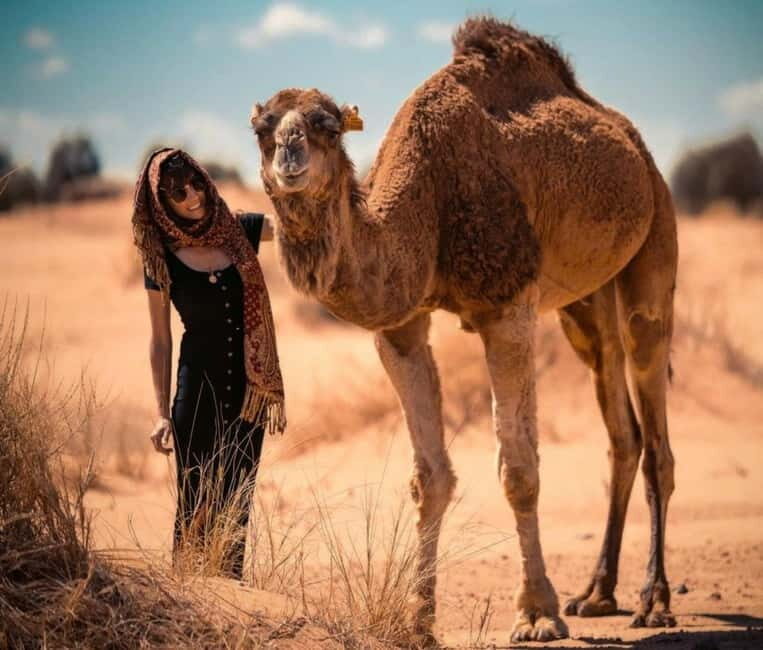 Cappadocia: Camel Safari Tour with Transfer - Authentic Experience and Cultural Touches