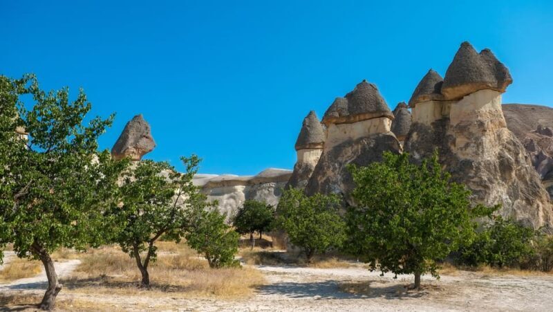 Cappadocia Excursion: Full-Day South Tour with Expert Guide - Exploring Cappadocia with the Full-Day South Tour