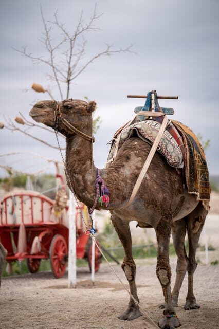 Cappadocia Excursion: Full-Day South Tour with Expert Guide - Final Thoughts: Is This Tour Worth It?
