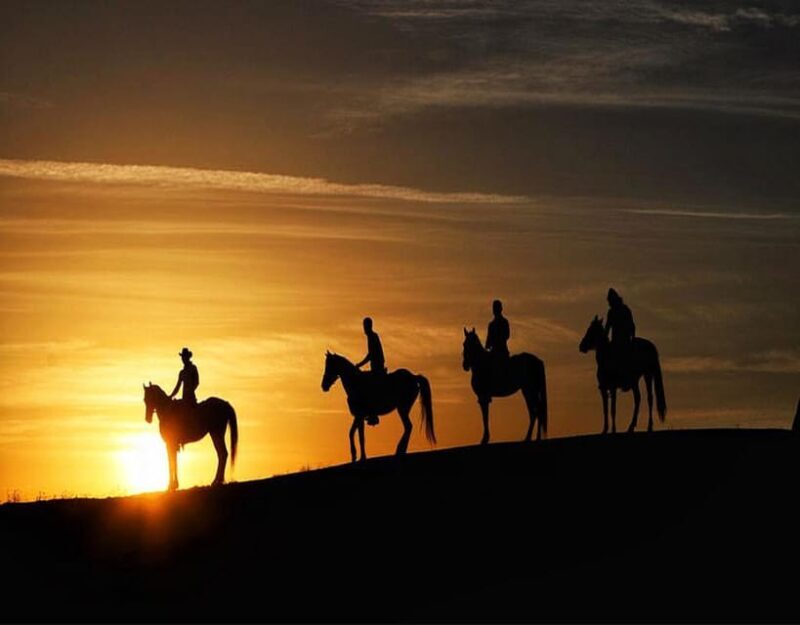 Cappadocia: Fascinating Horse Riding Tour in Unique Valleys - Who Should Consider This Experience?
