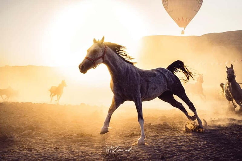 Cappadocia: Fascinating Horse Tour in Göreme Valleys - An In-Depth Look at the Cappadocia Horse Tour