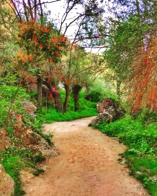 Cappadocia Green Tour - Final Thoughts
