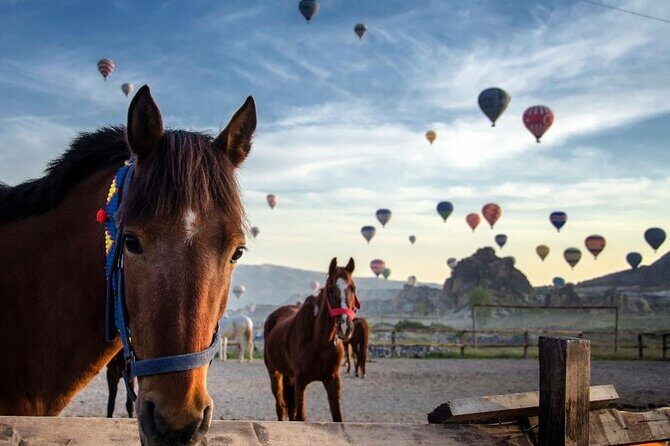 Cappadocia Horse Riding Experience Sunrise Sunset Daytime - Experience the Magic of Cappadocia on Horseback: Sunrise, Sunset, or Daytime Rides