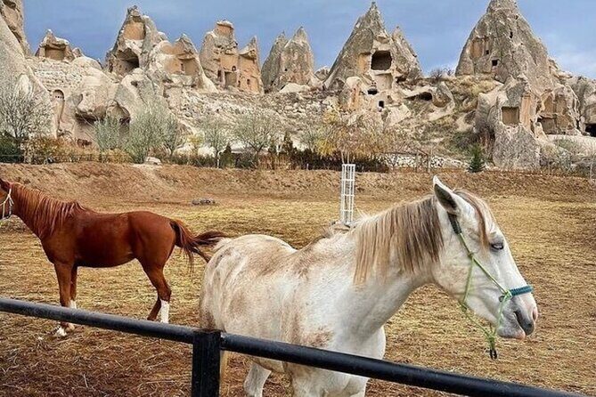 Cappadocia Horseback Riding Tour (Transfer Included) - Key Points