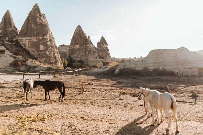 Cappadocia Horseback Riding : Unique Exploration Horse Tour - Exploring the Surreal Landscapes of Cappadocia on Horseback