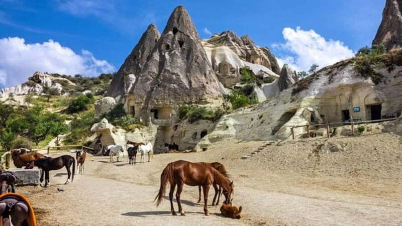 Cappadocia Horseback Riding : Unique Exploration Horse Tour - Authentic Experiences and Practical Details