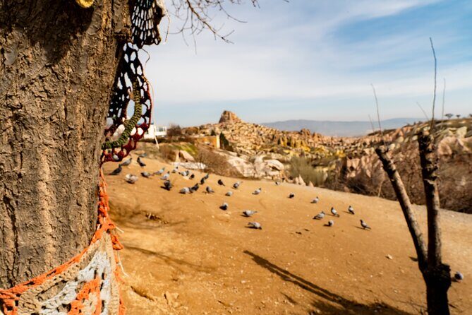Cappadocia Mix Tour With Ticket And Lunch - Practical Details and What to Expect