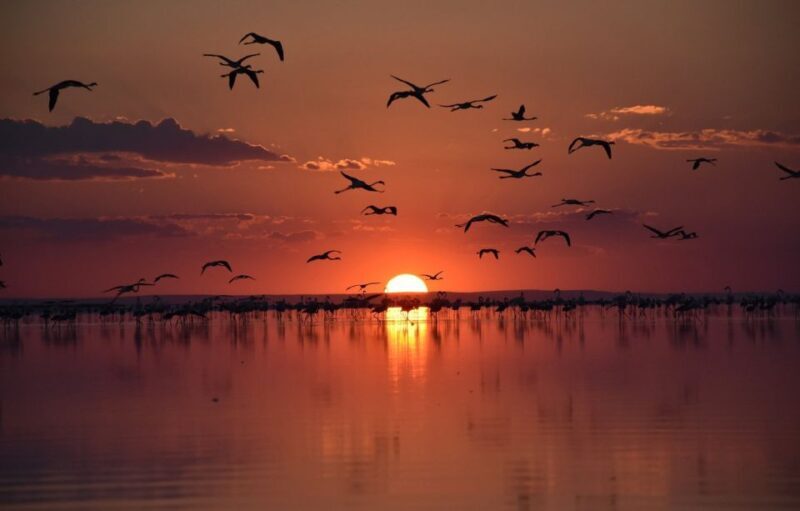 Cappadocia: Private Salt Lake Tour by Car - Exploring the Salt Lake Tour in Detail