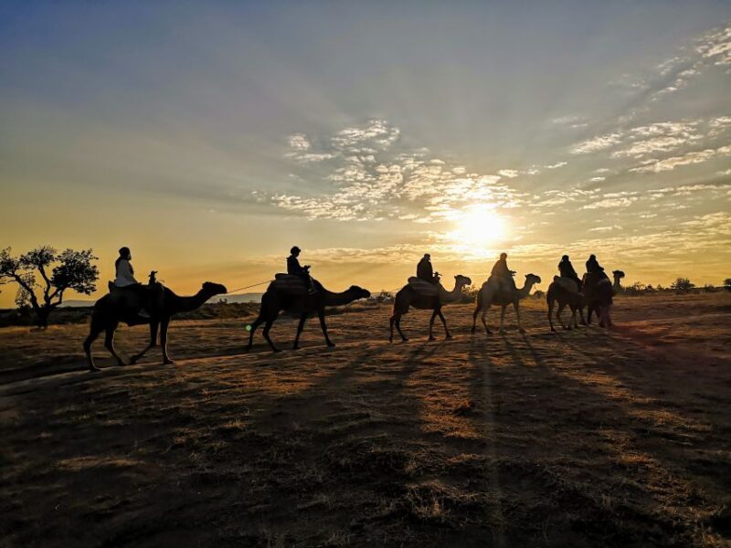 Cappadocia: Sunrise Camel Safari - Exploring the Experience: What You Can Expect