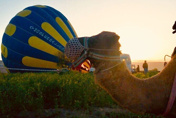 Cappadocia Sunrise Camel Safari - Final Thoughts