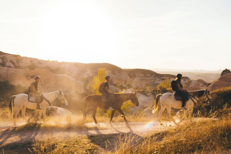 Cappadocia: Sunset or Daytime Horse Riding Tour - Who Should Consider This Tour?