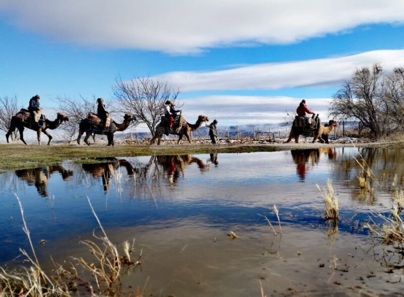 Cappadocia: Valleys Highlights Camel Tour with Hotel Pickup - A Deeper Look at the Cappadocia Camel Tour