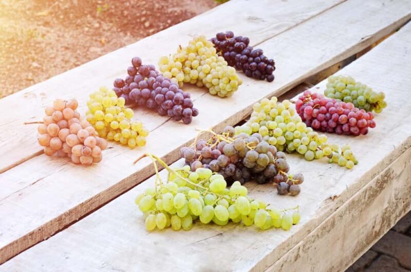 Cappadocia Wine Tasting Experience - Exploring the Itinerary: What to Expect