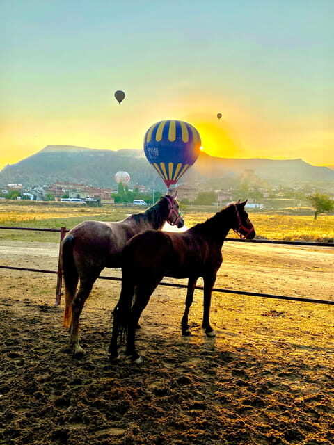 Cappadocia's Sunrise Horseback Riding - Key Points