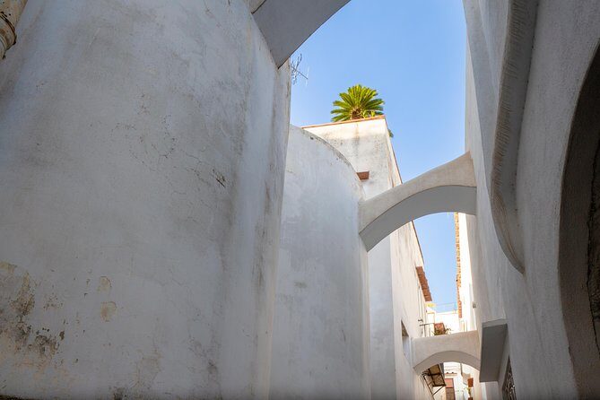 Capri and Blue Grotto Day Tour from Naples or Sorrento - A Balanced Look at the Cost and Value