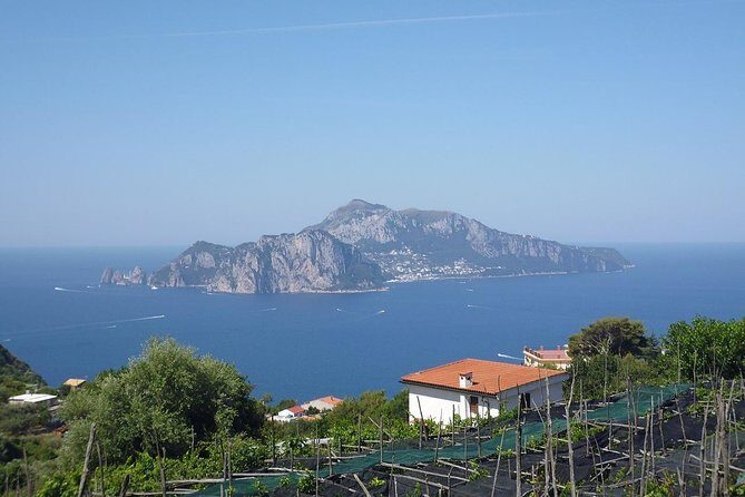 Capri, Blue Grotto, Sorrento and Pompeii from Positano or Amalfi - Who Is This Tour Best For?
