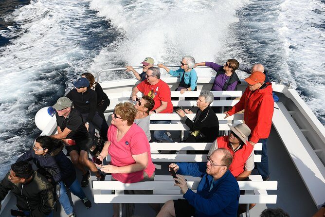 Capri Coast to Coast: Boat Tour with Optional Blue Grotto - Frequently Asked Questions