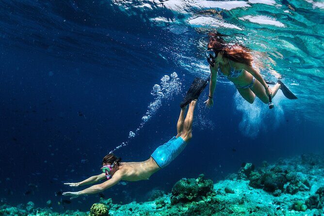 Capri Dolce Vita Half Day Boat Tour Sorrento, Capri, Blue Grotto - What Travelers Love Most